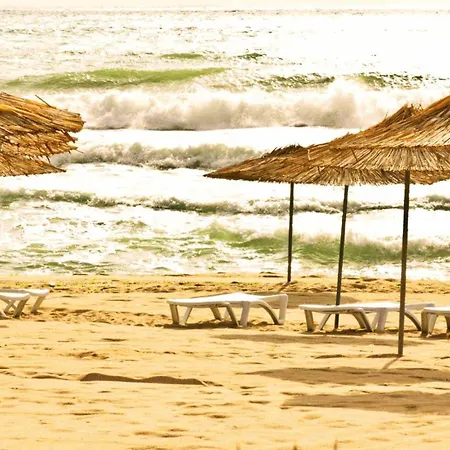 Apartment Lovely Nest With Glass Veranda