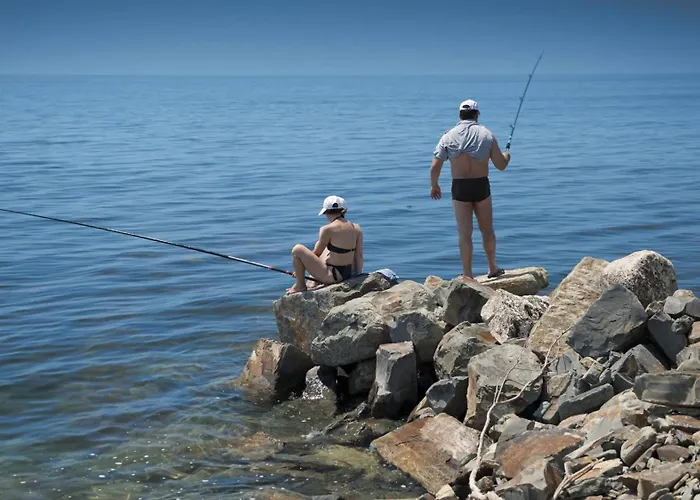 Lovely Nest With Glass Veranda